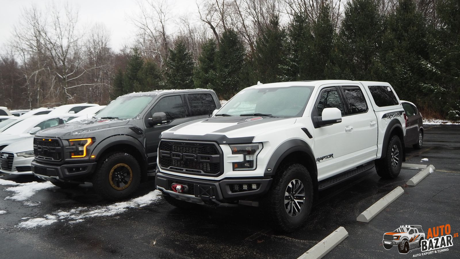 Ford F150 Raptor #47